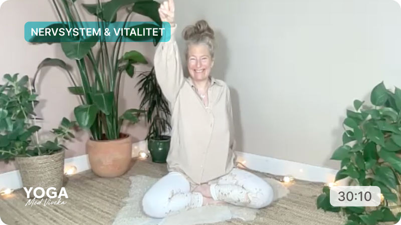 Meditation med Viveka - Nervsystem & vitalitet - dag 12