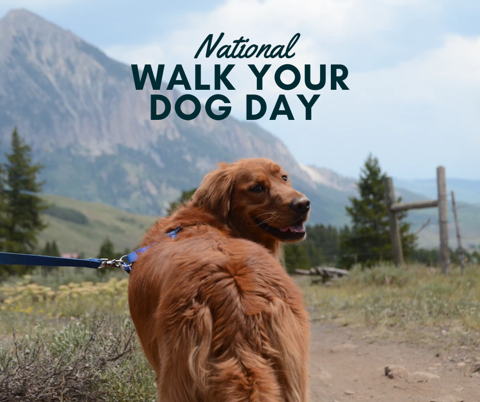 National Walk Your Dog Day