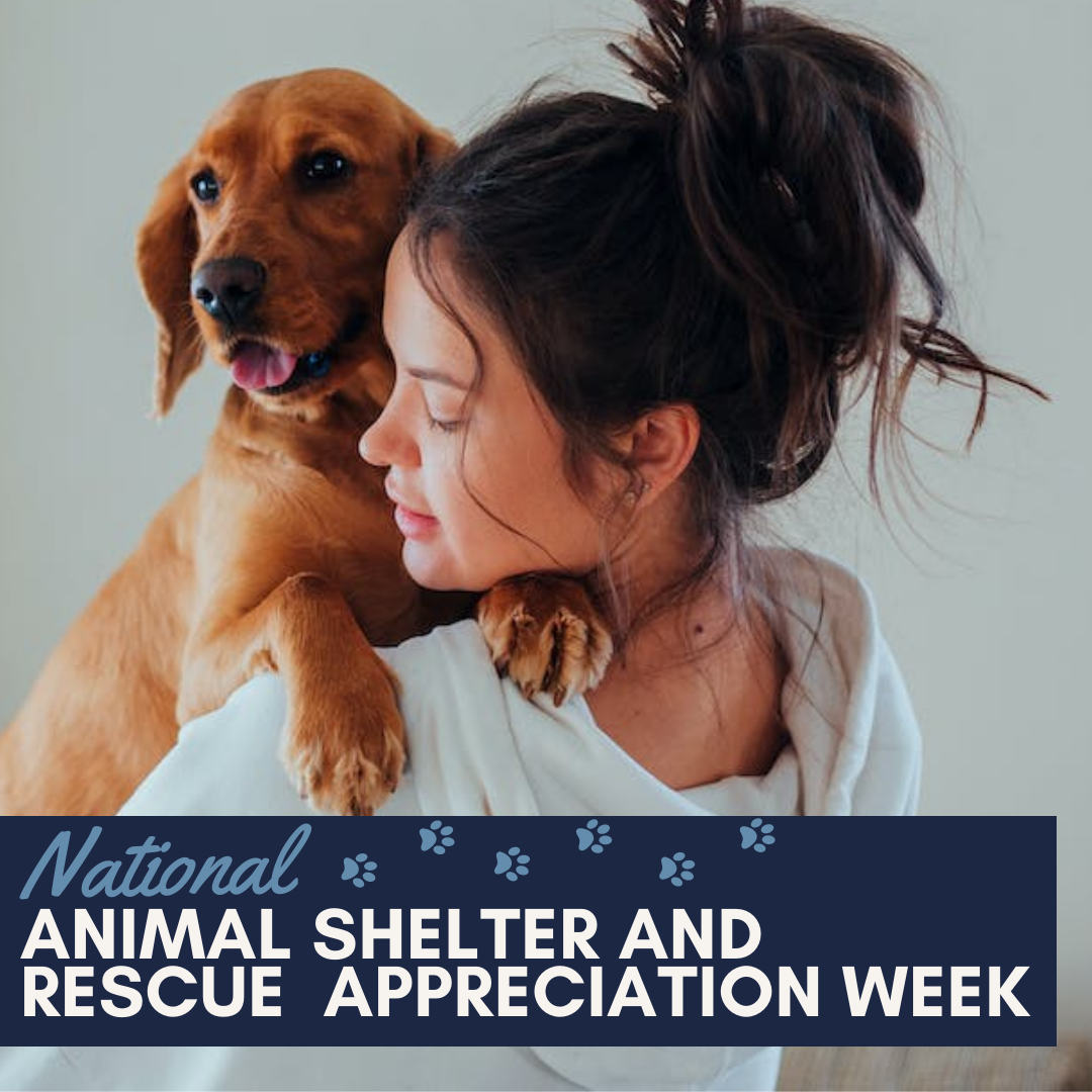 National Animal Shelter and Rescue Appreciation Week