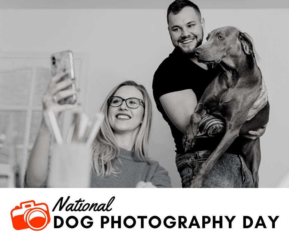 National Dog Photography Day