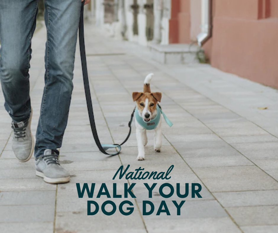 National Walk Your Dog Day 2024 Karyn Marylou