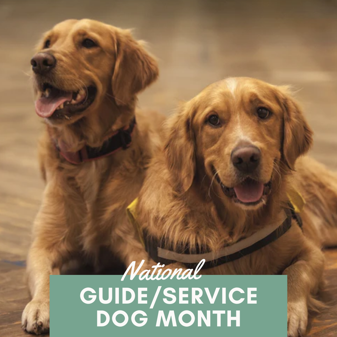 National Guide/Service Dog Month