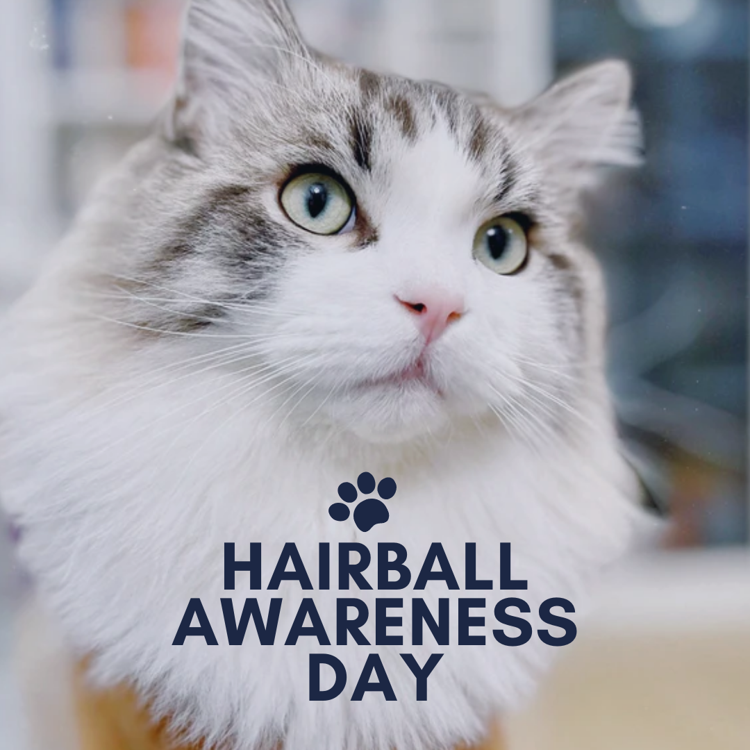 Hairball Awareness Day