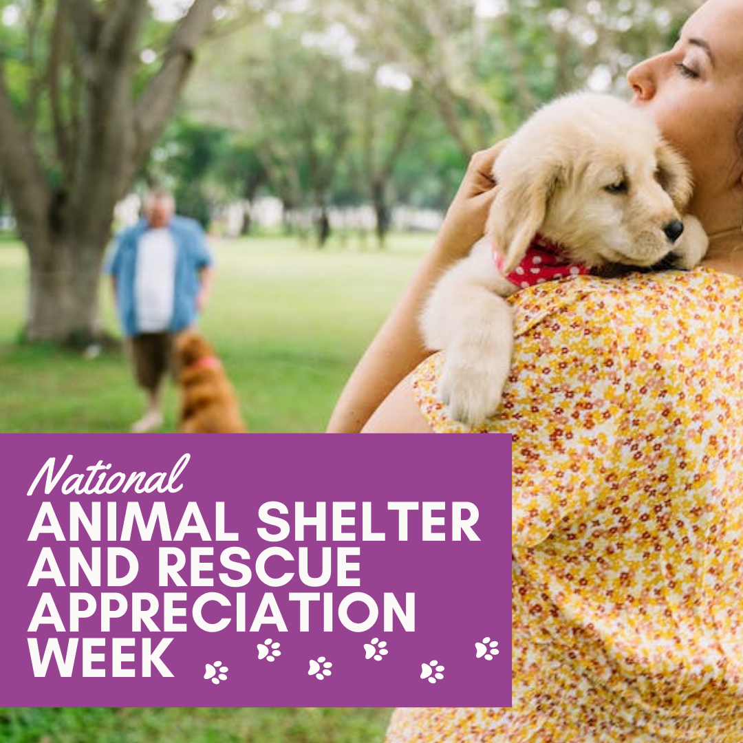 National Animal Shelter and Rescue Appreciation Week