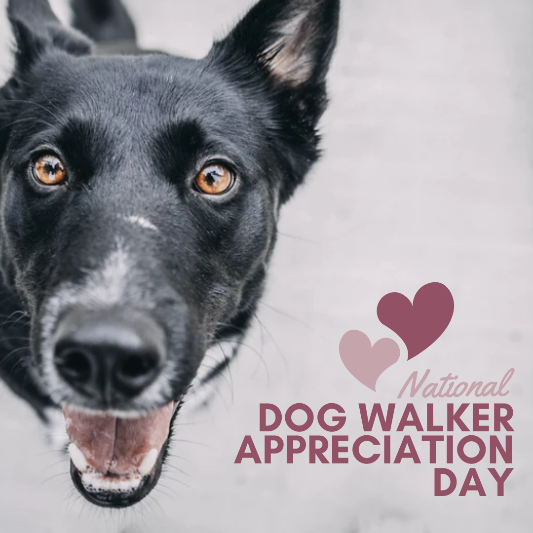 National Dog Walker Appreciation Day