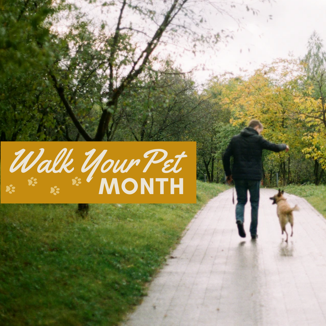 Walk Your Pet Month