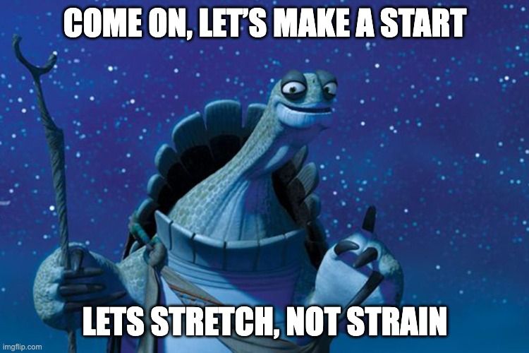 Grand Master Oogway meme 
